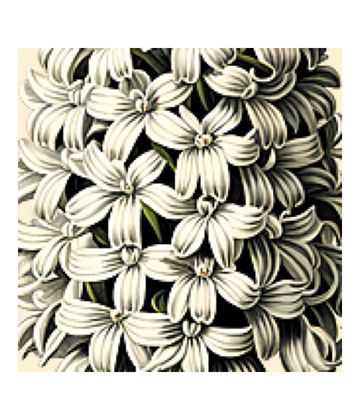 Art Deco Perfumes Гиацинт