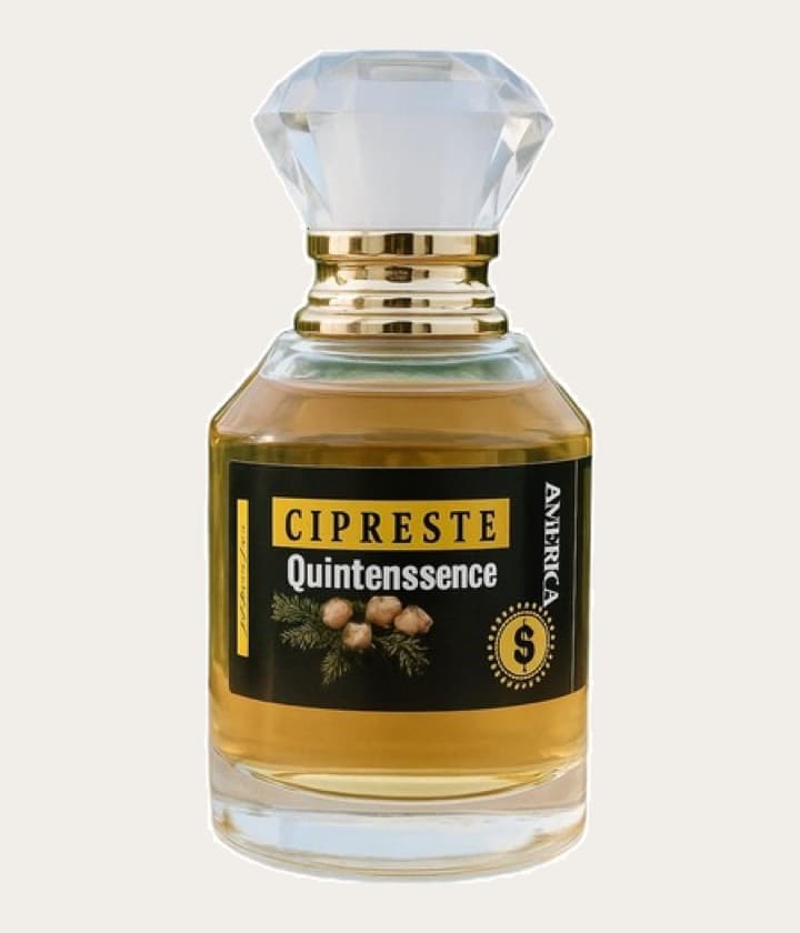 Atelier Segall & Barutti Cipreste Quintessence