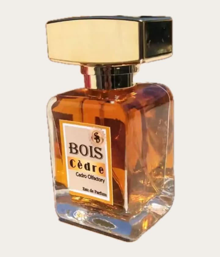 Atelier Segall & Barutti Bois Cèdre