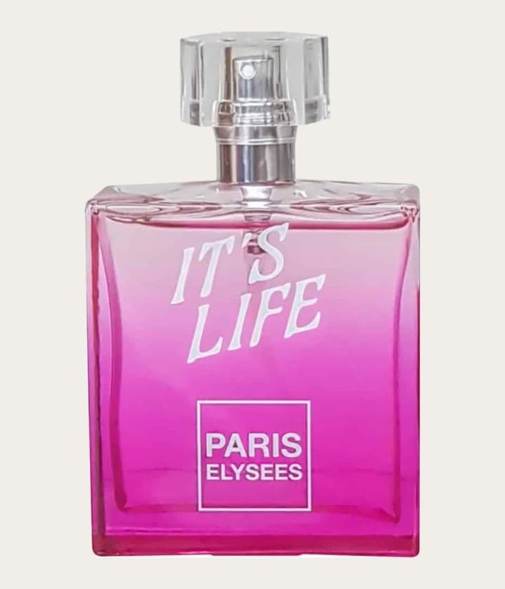 Paris Elysees It's Life
