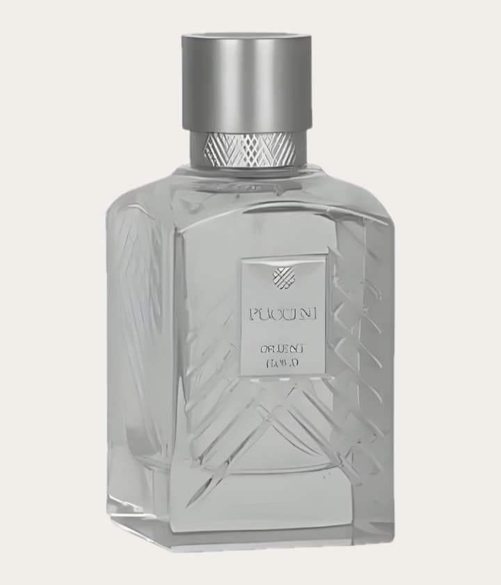 Puccini Paris Orient Gold