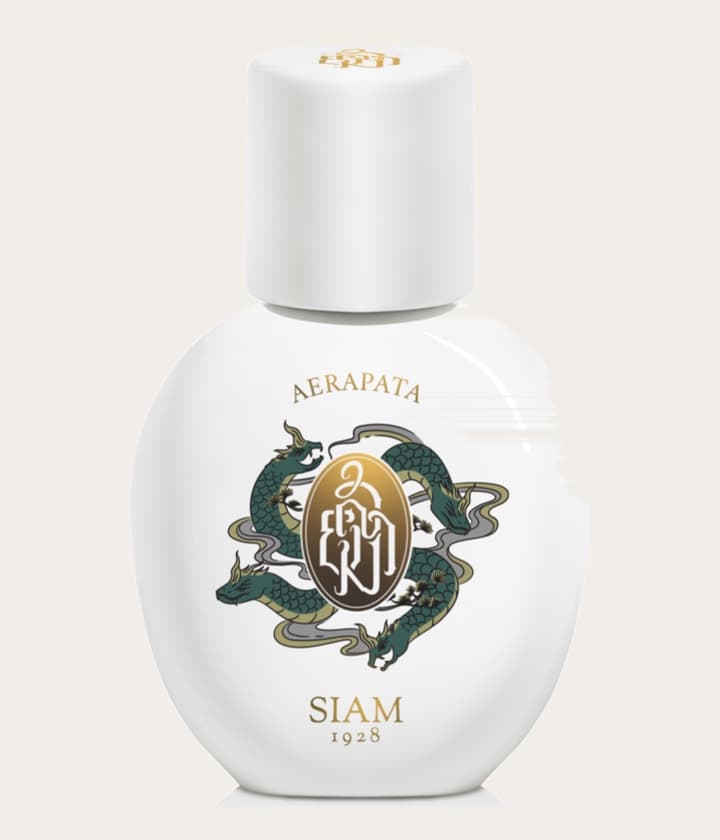 SIAM 1928 Aerapata