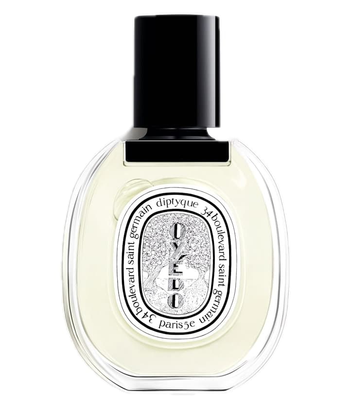Diptyque Oyédo