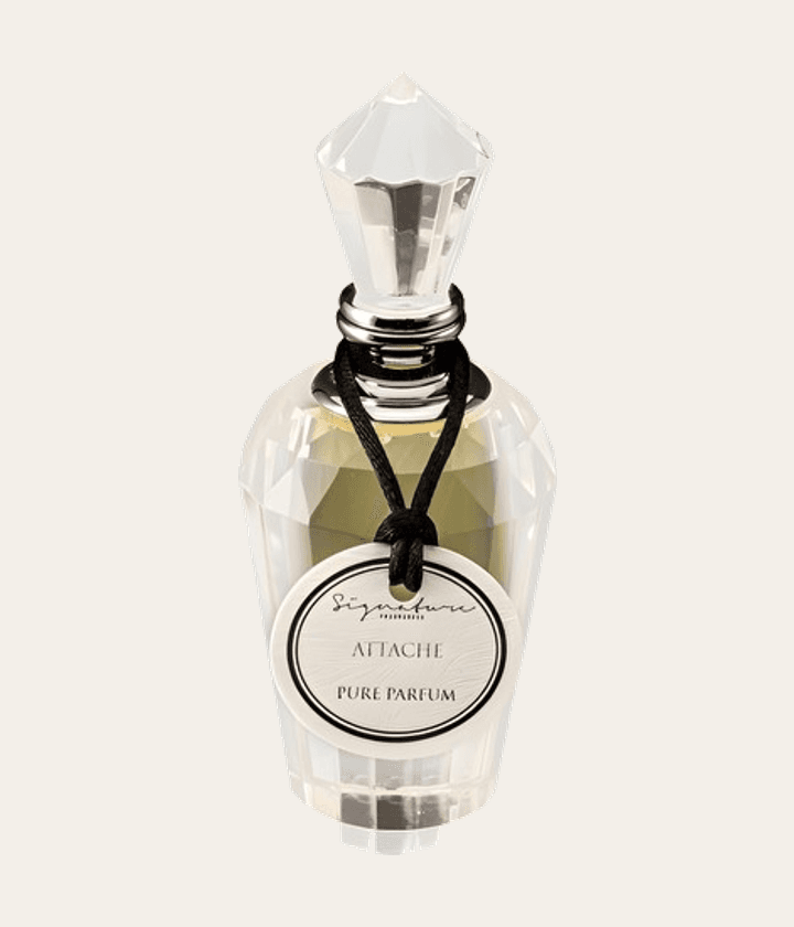 Signature Fragrances Attache