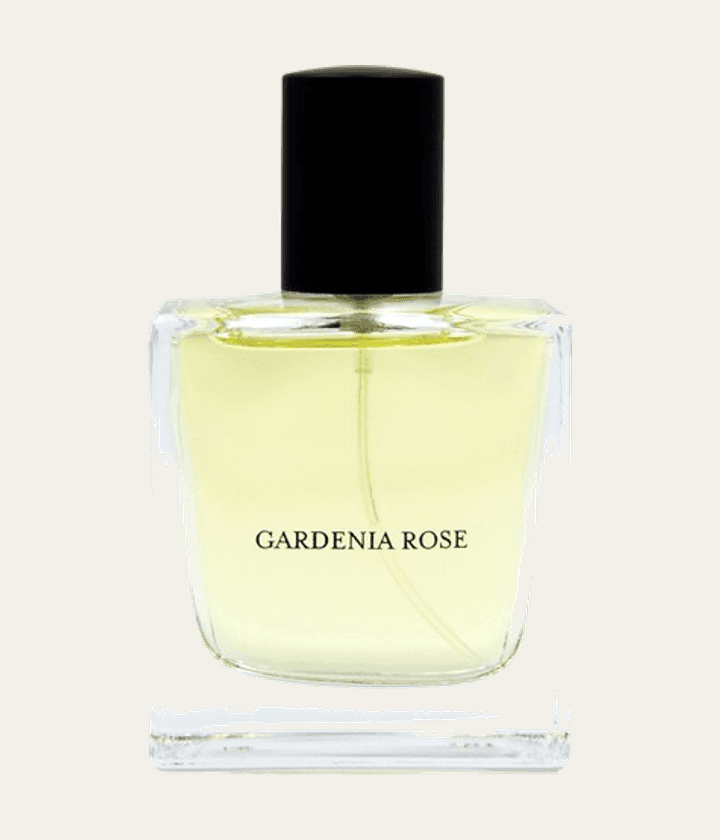 Vdot Gardenia Rose
