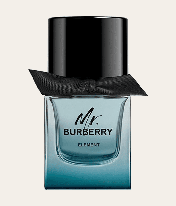 Burberry Mr. Burberry Element