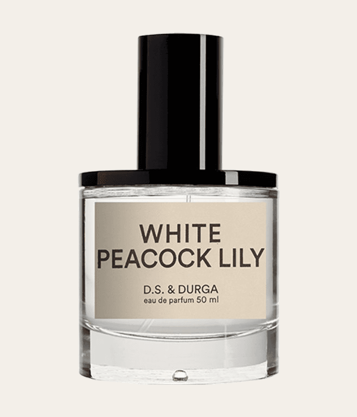 D.S. & Durga White Peacock Lily