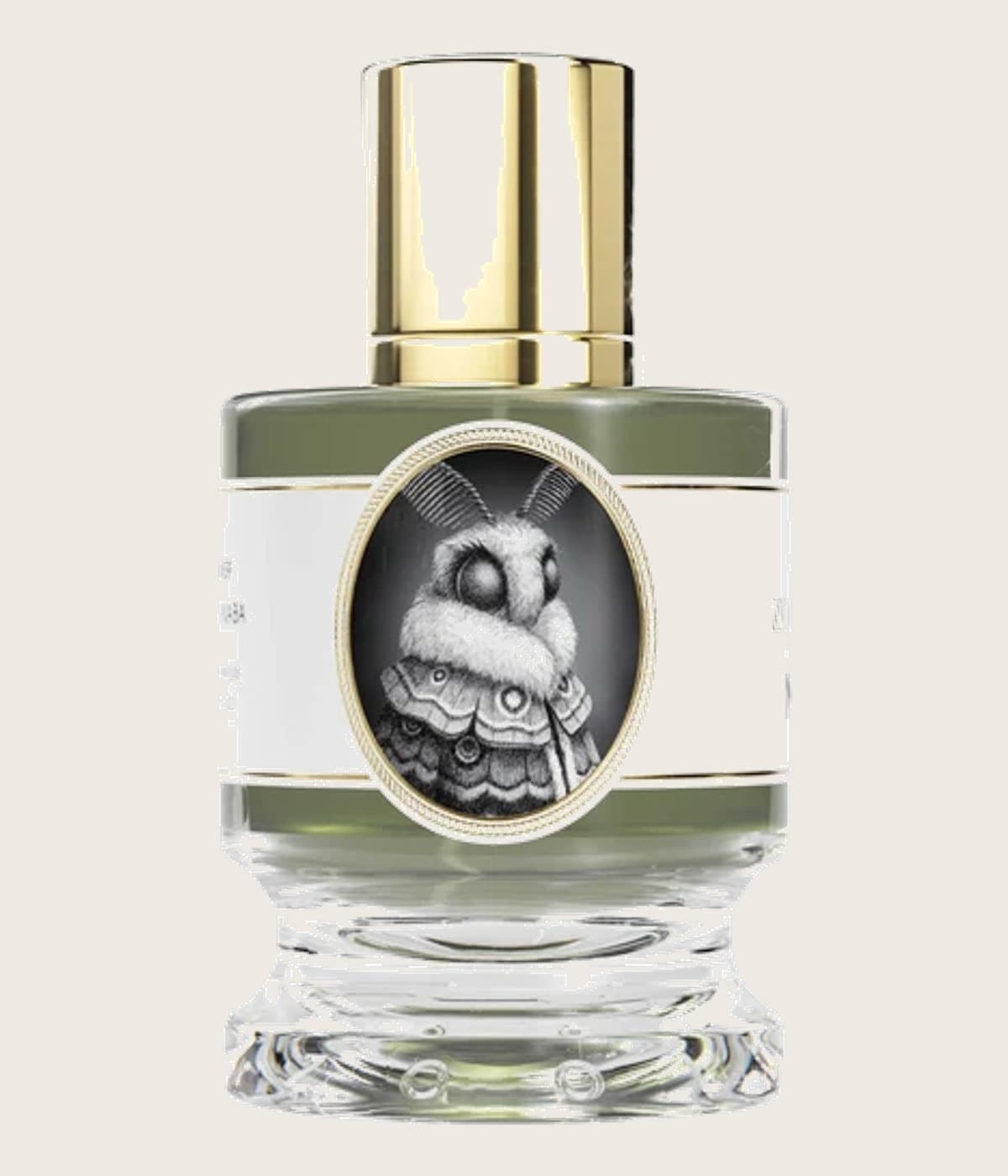 Zoologist Moth