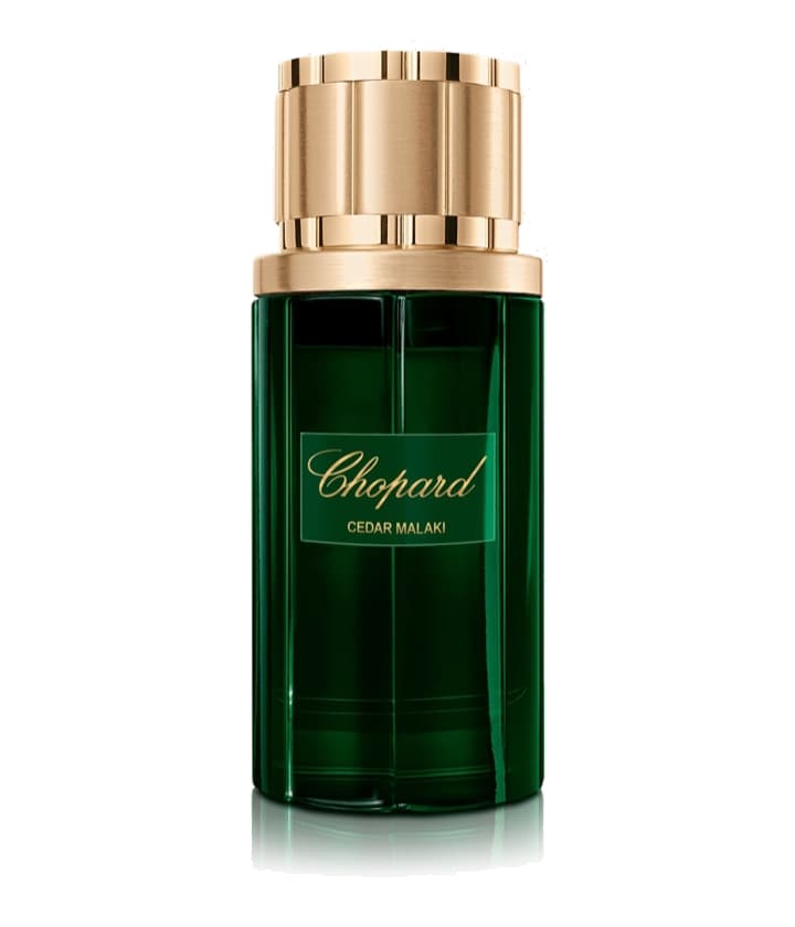 Chopard Cedar Malaki