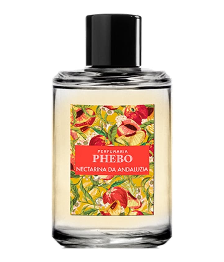 Phebo Nectarina da Andaluzia