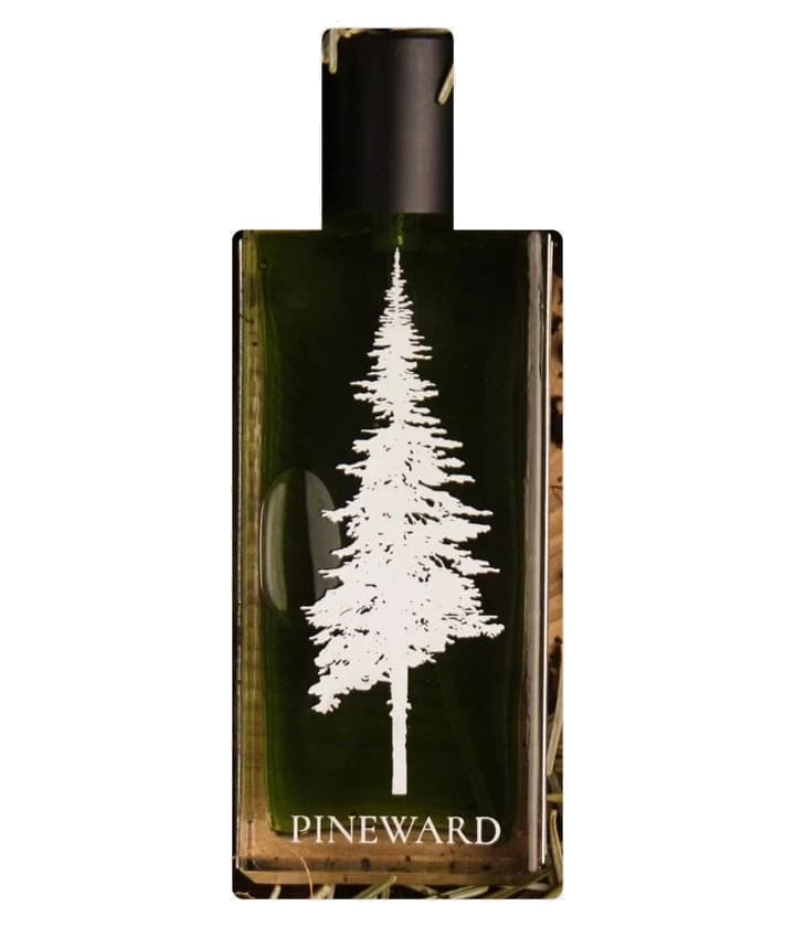 Pineward Oxylus