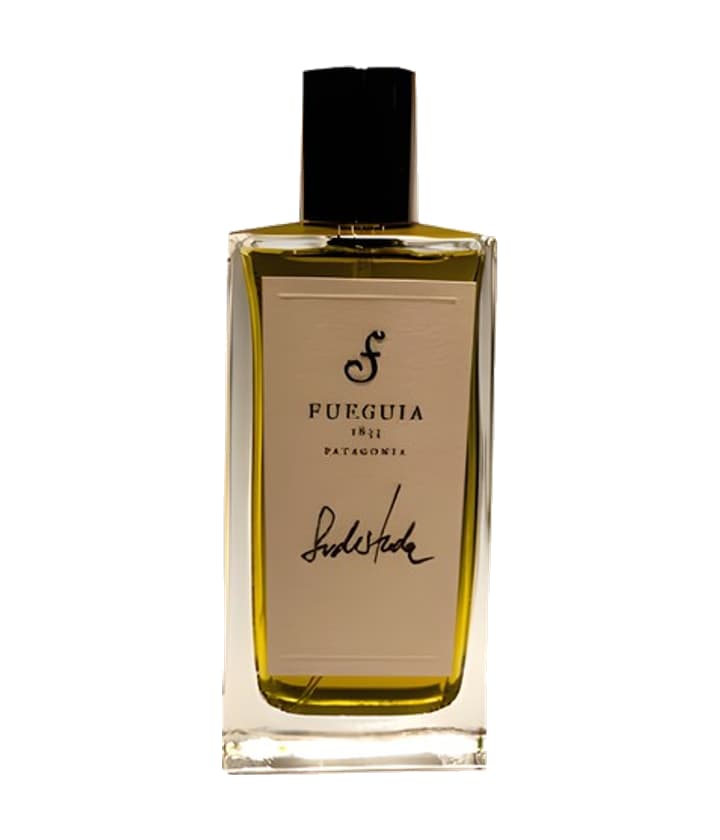Fueguia 1833 Sudestada