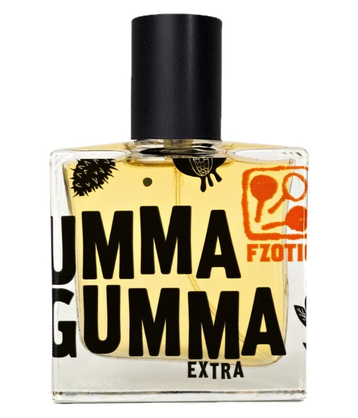 FZOTIC Ummagumma Extra