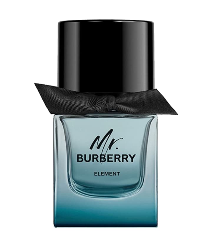 Burberry Mr. Burberry Element