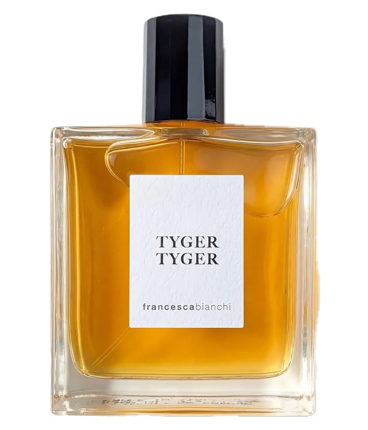 Francesca Bianchi Tyger Tyger