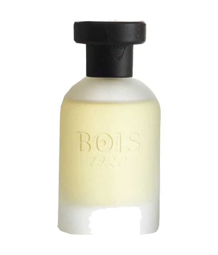 Bois 1920 Classic Paradise