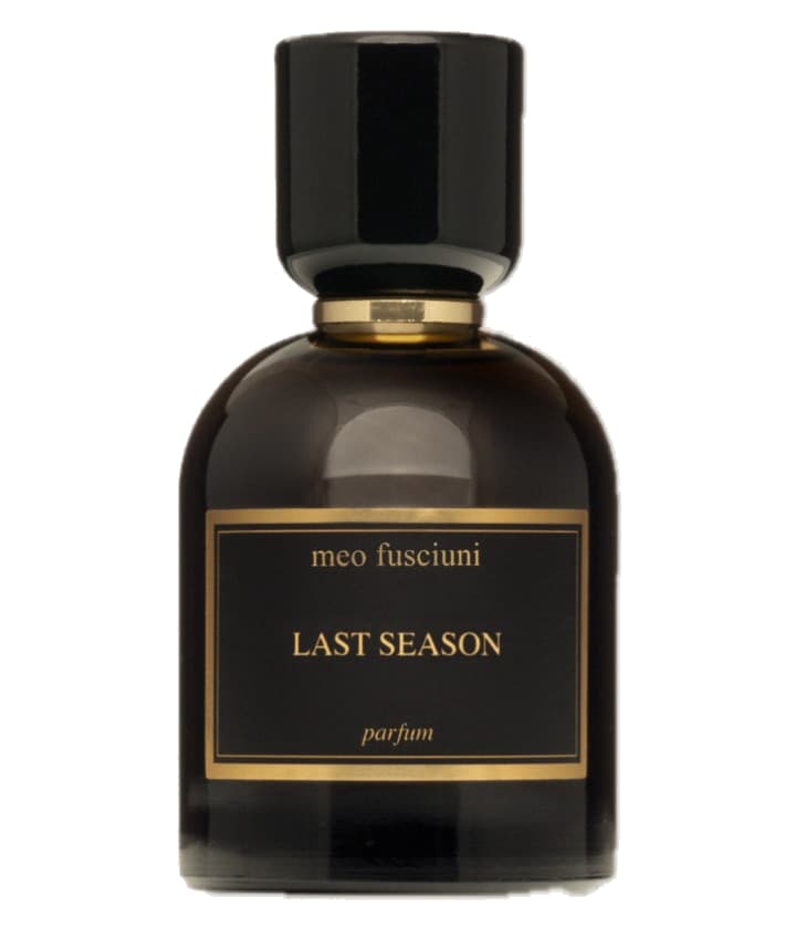 Meo Fusciuni Last Season