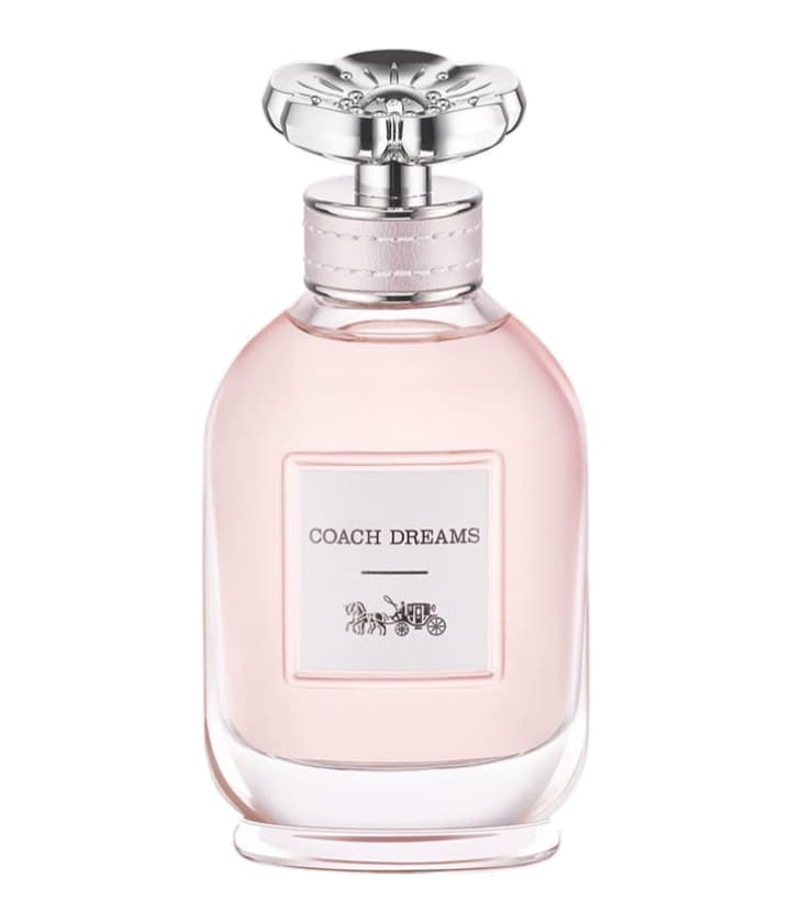 Coach Dreams