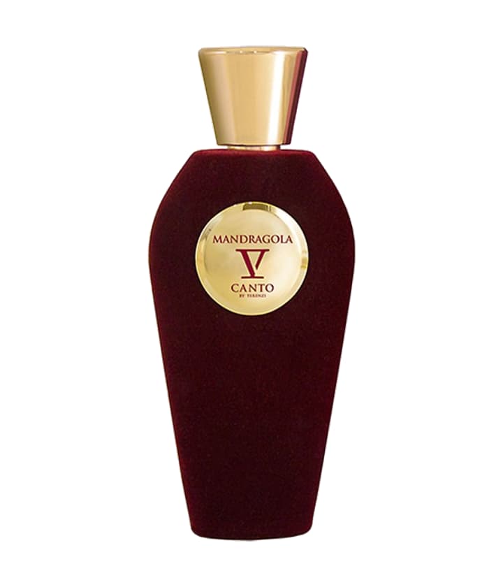 V Canto Mandragola