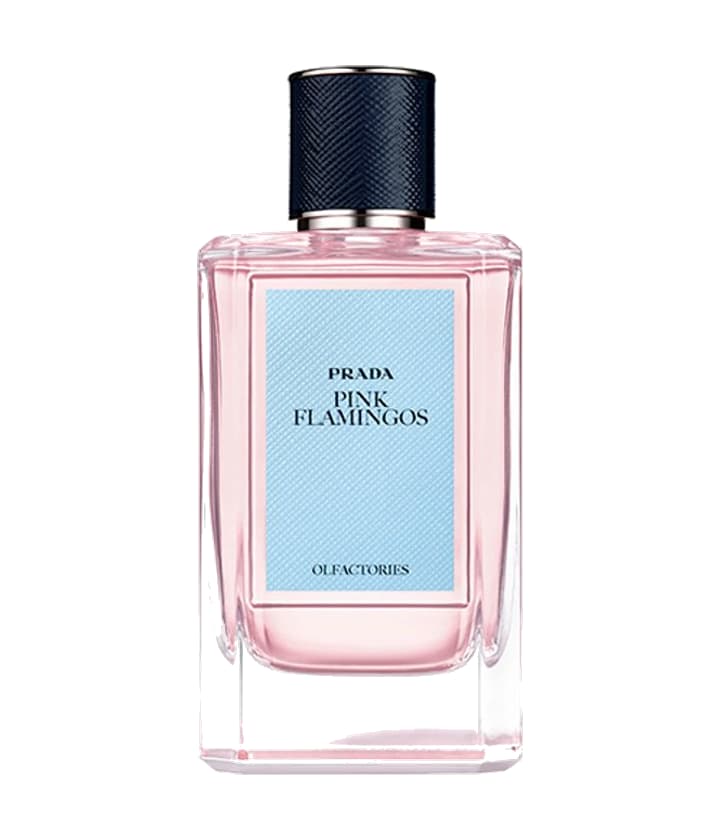 Prada Pink Flamingos