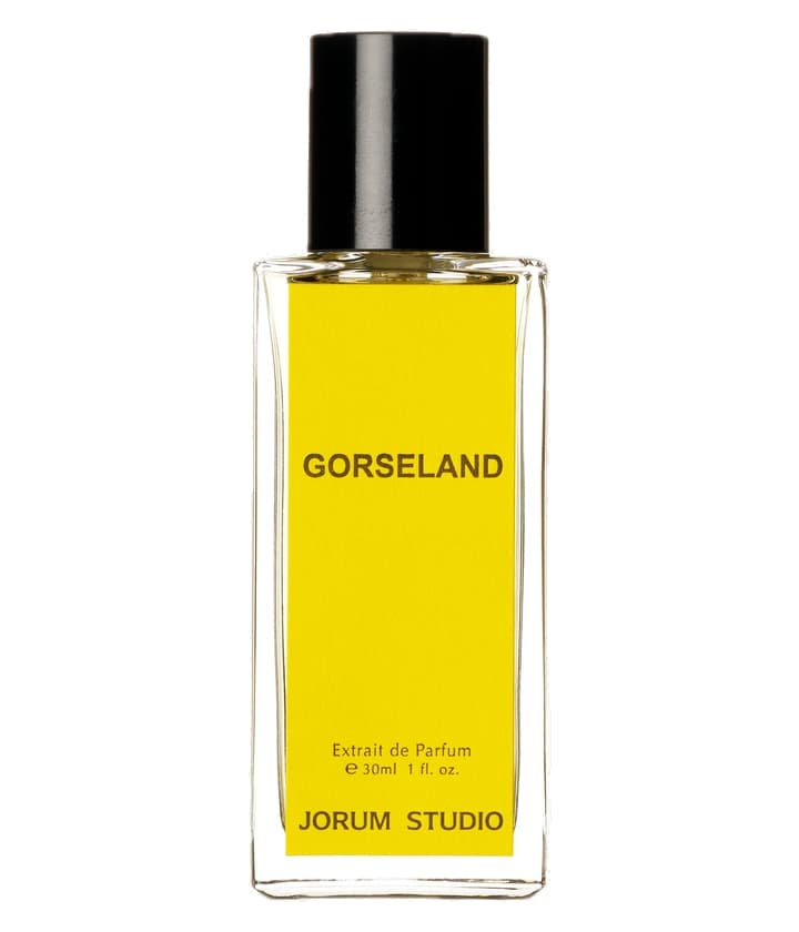 Jorum Studio Gorseland
