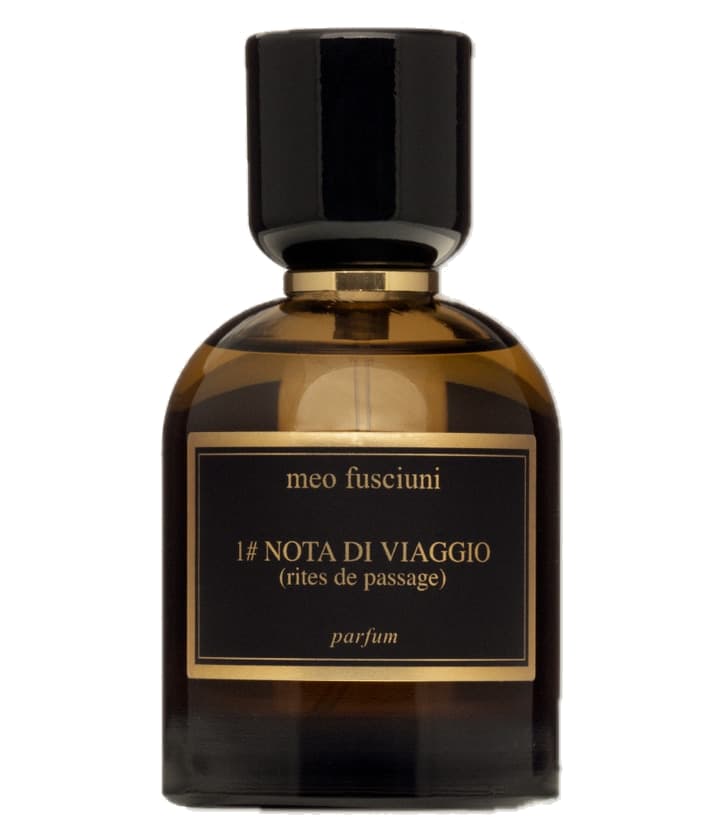 Meo Fusciuni 1# Nota di Viaggio (Rites de Passage) (2025)