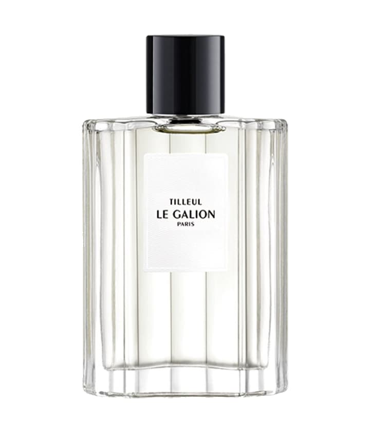 Le Galion Tilleul