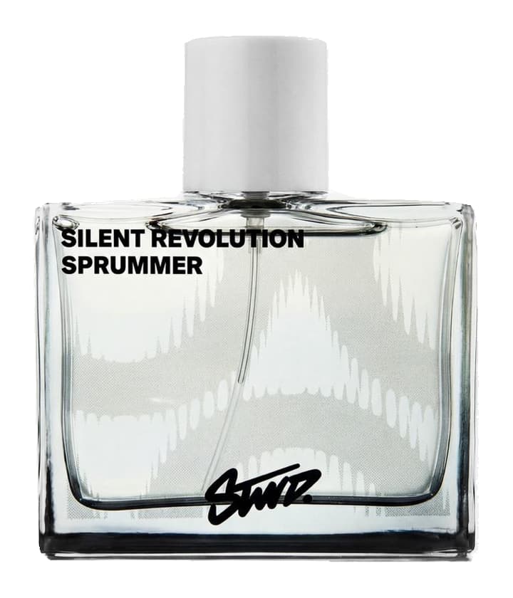 Pull & Bear STWD Silent Revolution Sprummer