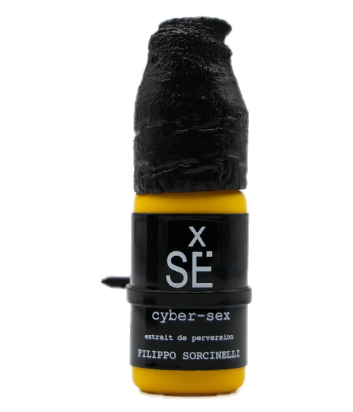 Filippo Sorcinelli cyber-sex
