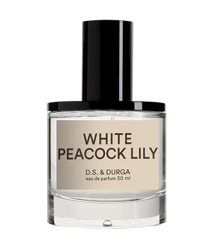 D.S. & Durga White Peacock Lily