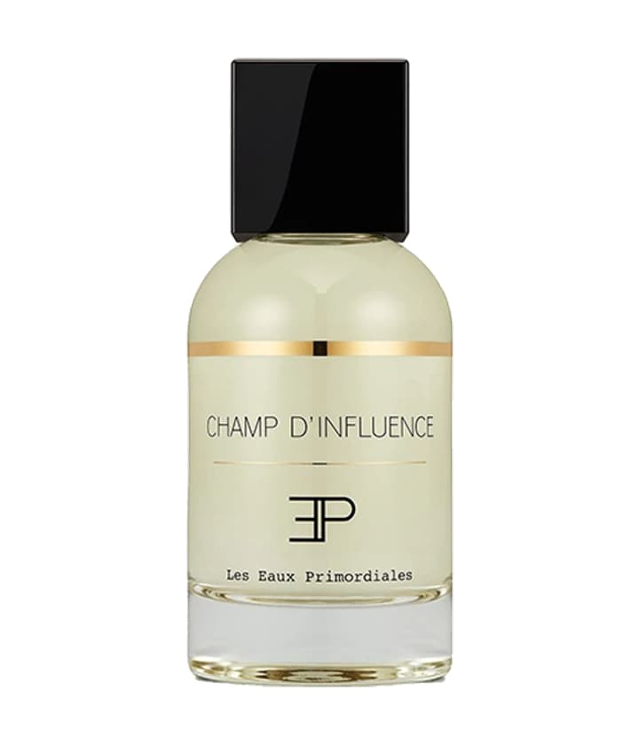 Les EAUX Primordiales Champ d'Influence