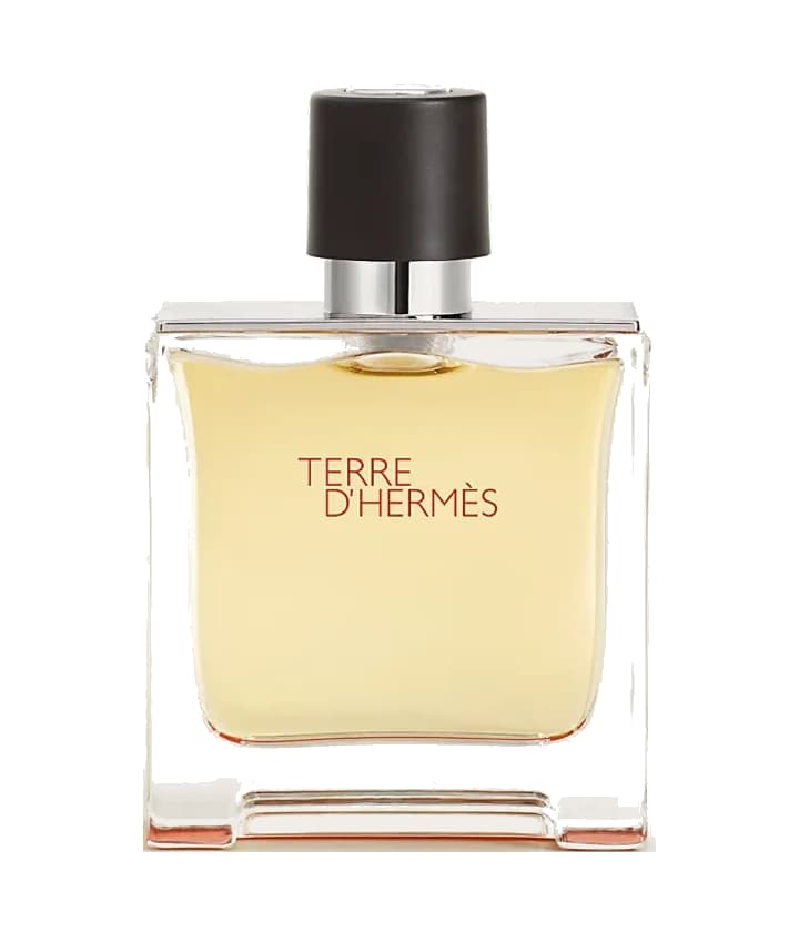Hermès Terre d'Hermès Parfum (candidate; exact designation requires verification)