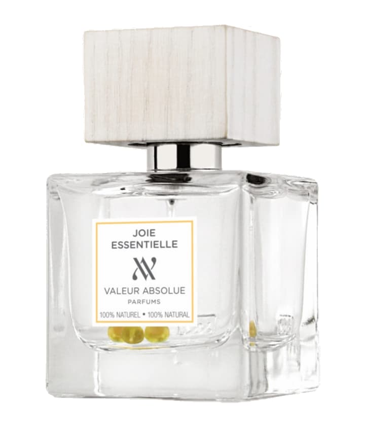 Valeur Absolue Joie Essentielle