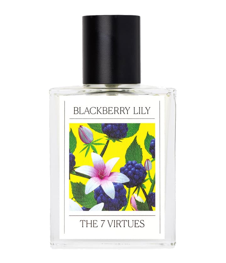 The 7 Virtues Blackberry Lily
