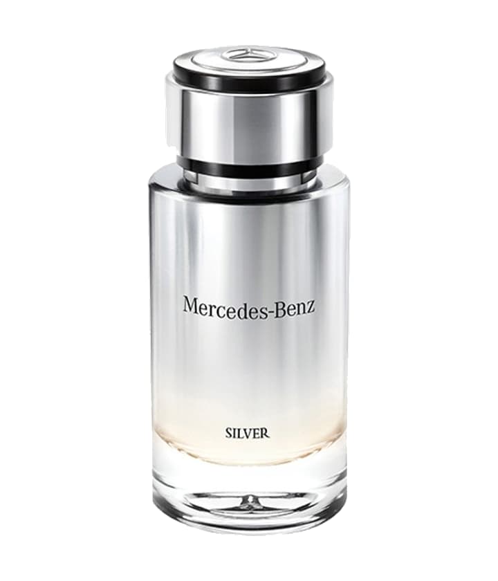 Mercedes-Benz Mercedes-Benz Silver