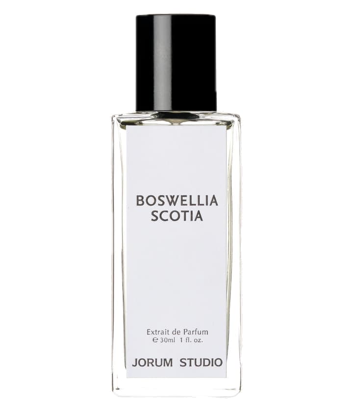 Jorum Studio Boswellia Scotia