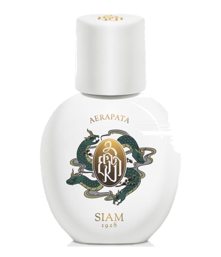 SIAM 1928 Aerapata