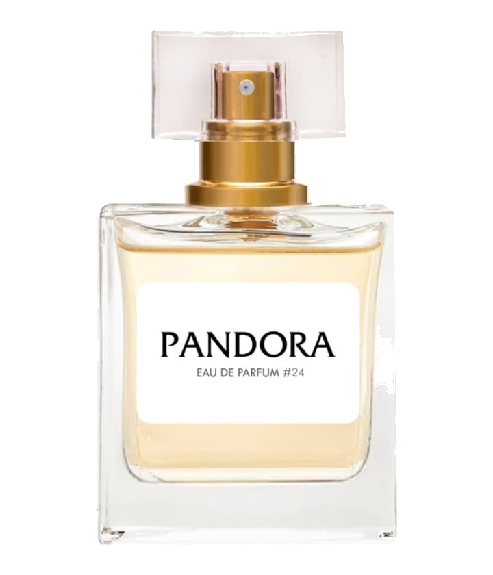Pandora Pandora #24