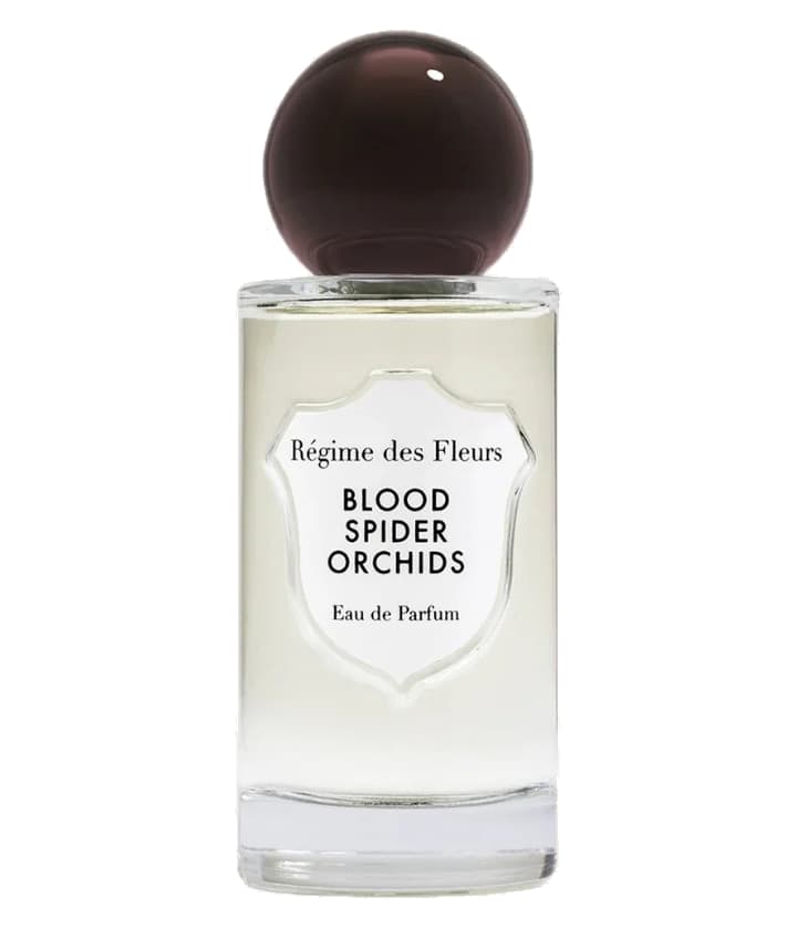 Régime des Fleurs Blood Spider Orchids