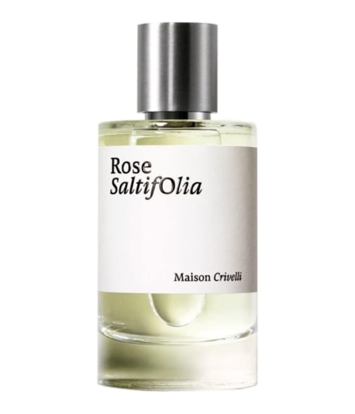 Maison Crivelli Rose SaltifOlia