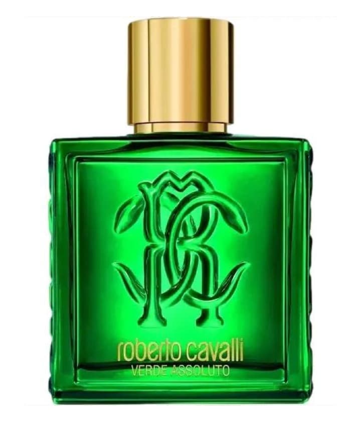 Roberto Cavalli Uomo Verde Assoluto
