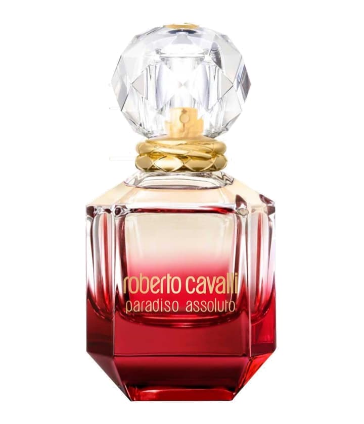 Roberto Cavalli Paradiso Assoluto