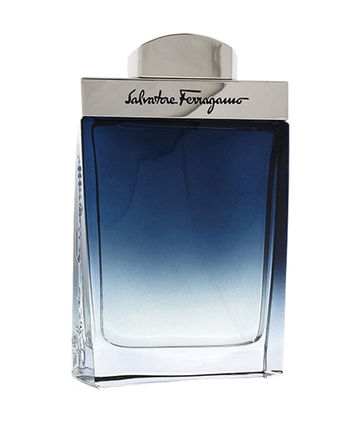 Salvatore Ferragamo Subtil