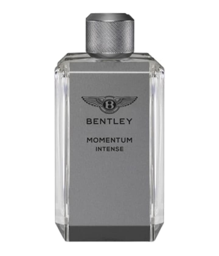 Bentley Momentum Intense