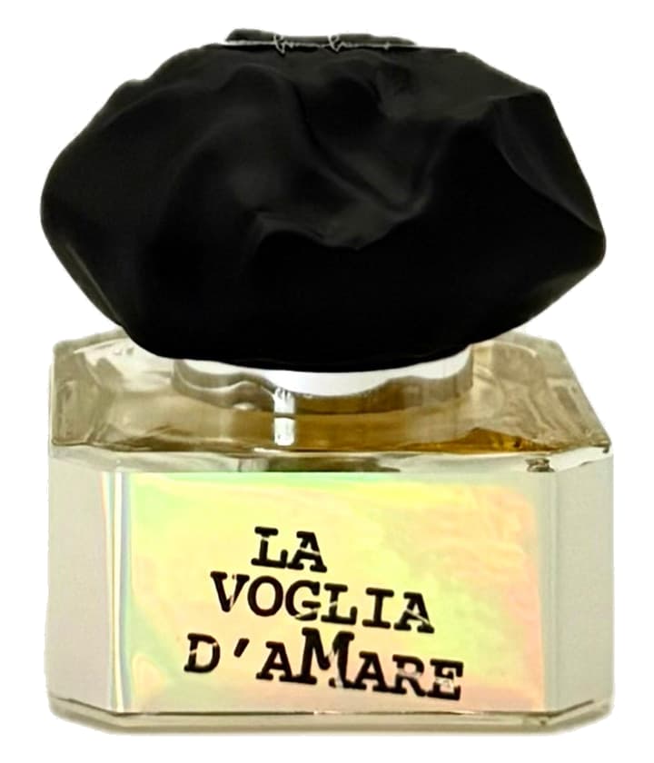 Filippo Sorcinelli LA VOGLIA D'AMARE