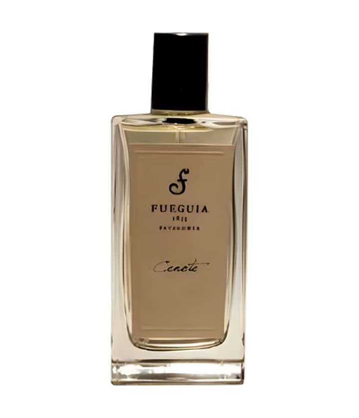 Fueguia 1833 Cenote