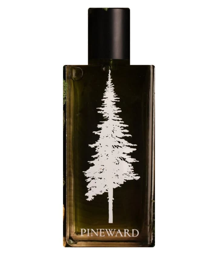 Pineward Coastal Veil