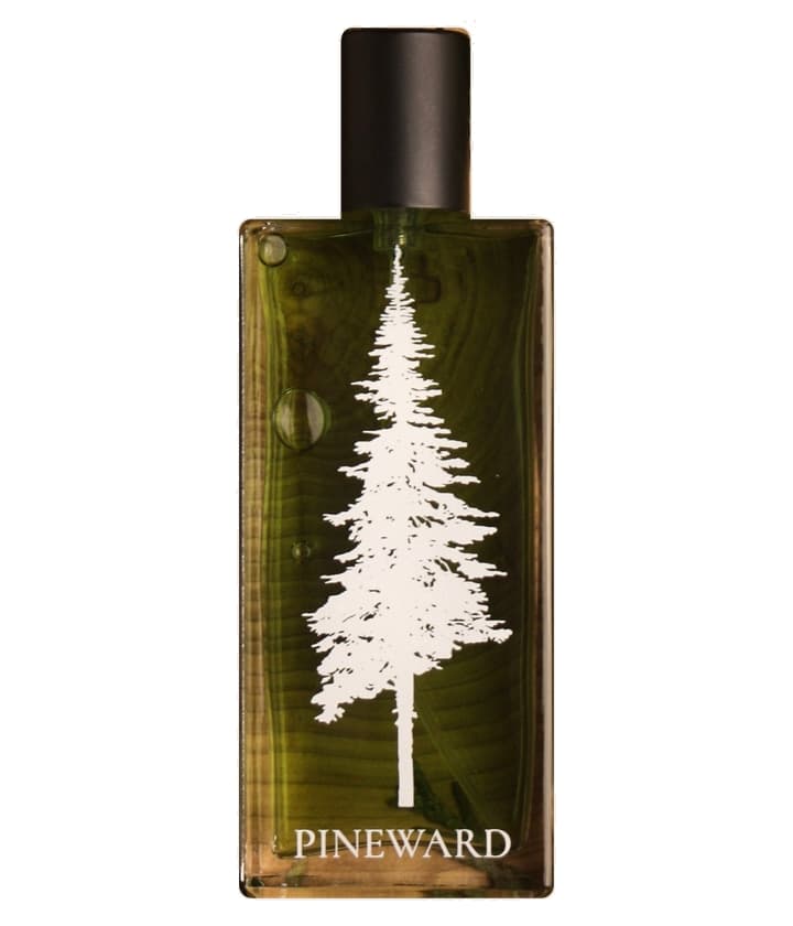 Pineward Akero