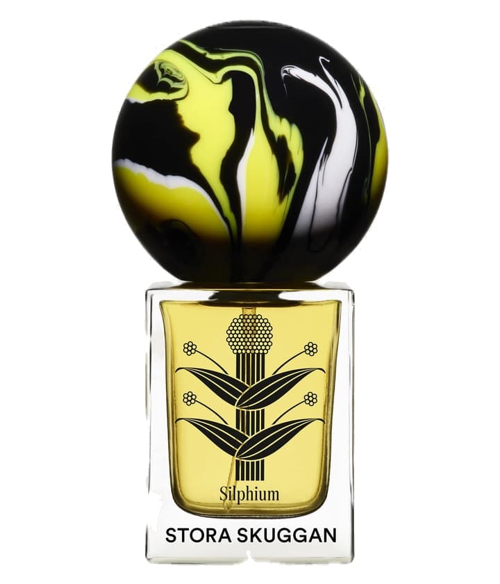 Stora Skuggan Silphium