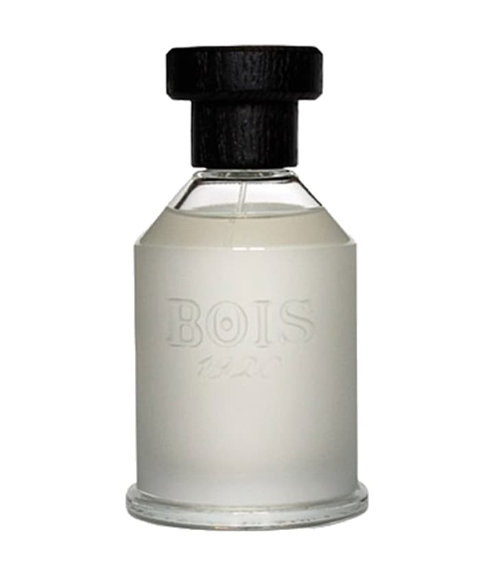 Bois 1920 Sopra Il Mare